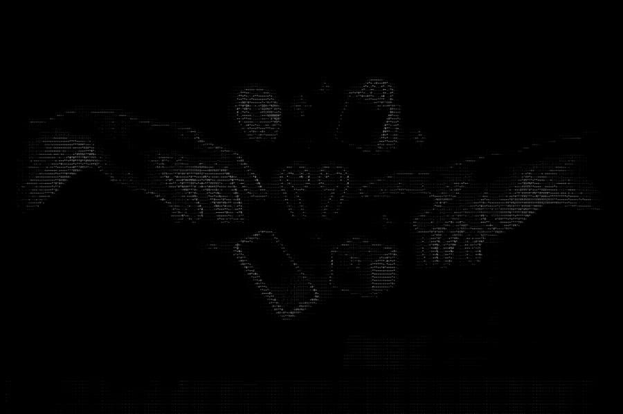 ASCII-art eagle emblem in the ecentic brand texture