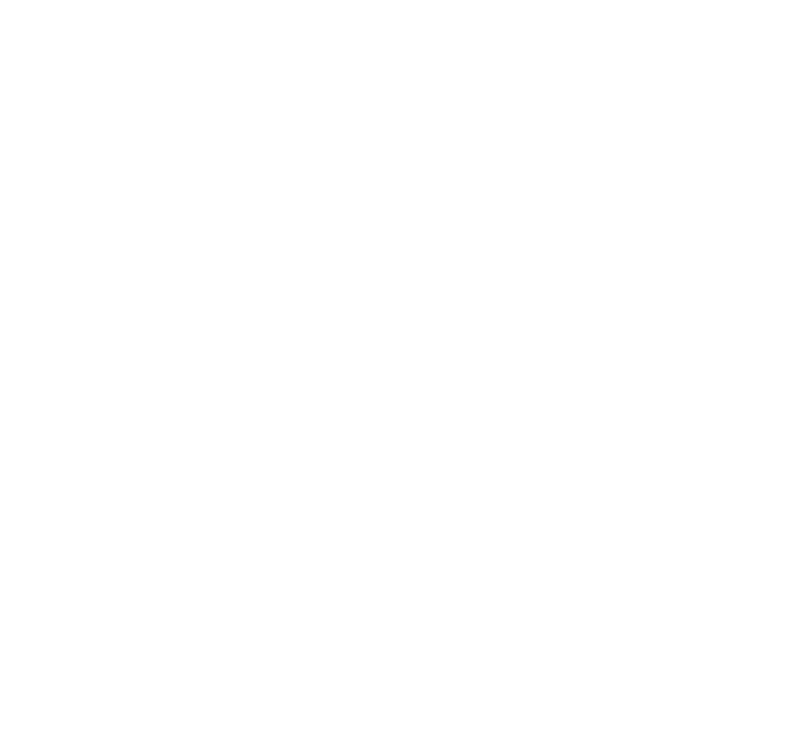 ASCII-art illustration of a shield